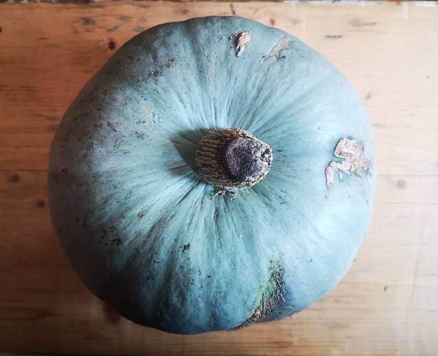 Pumpkin and chestnut barley risotto