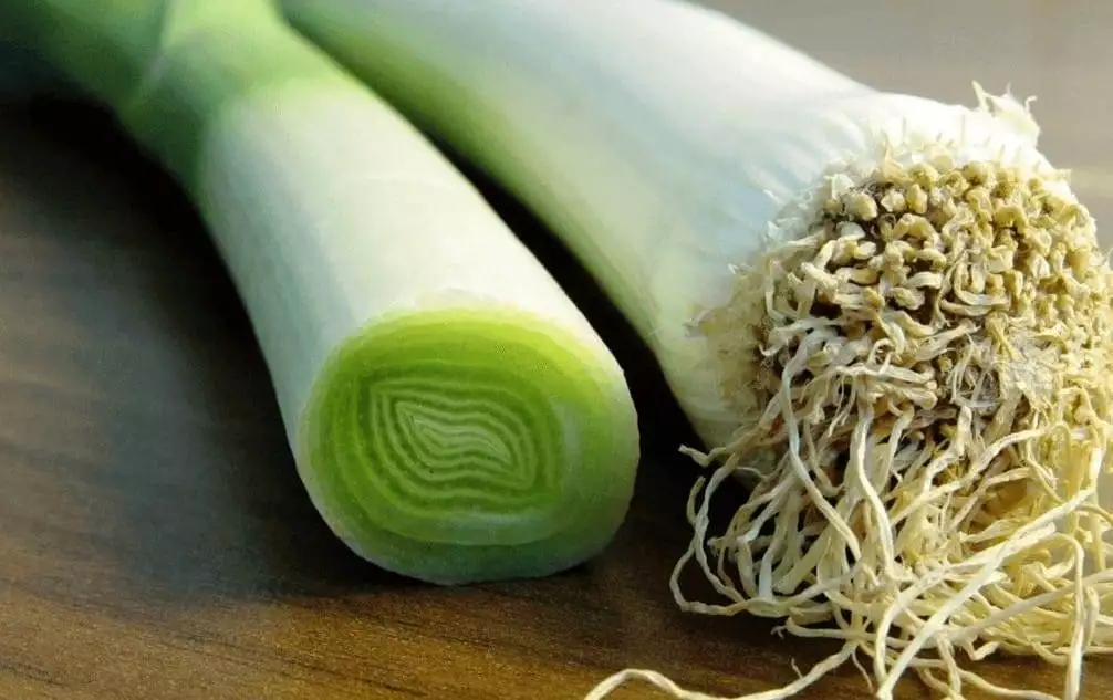 Leek gratin with plant-based cheesy bechamel sauce – Veganuary Recipe