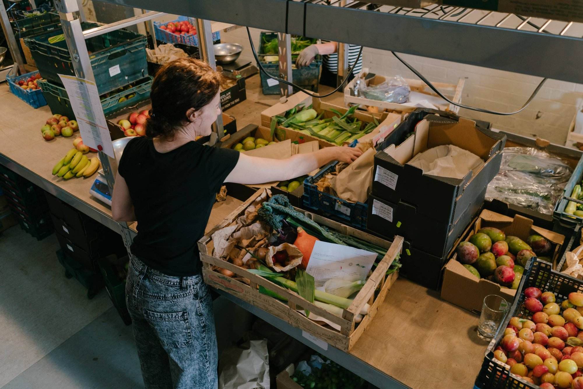Packing our organic fruit and vegetable boxes for Sheffield folk