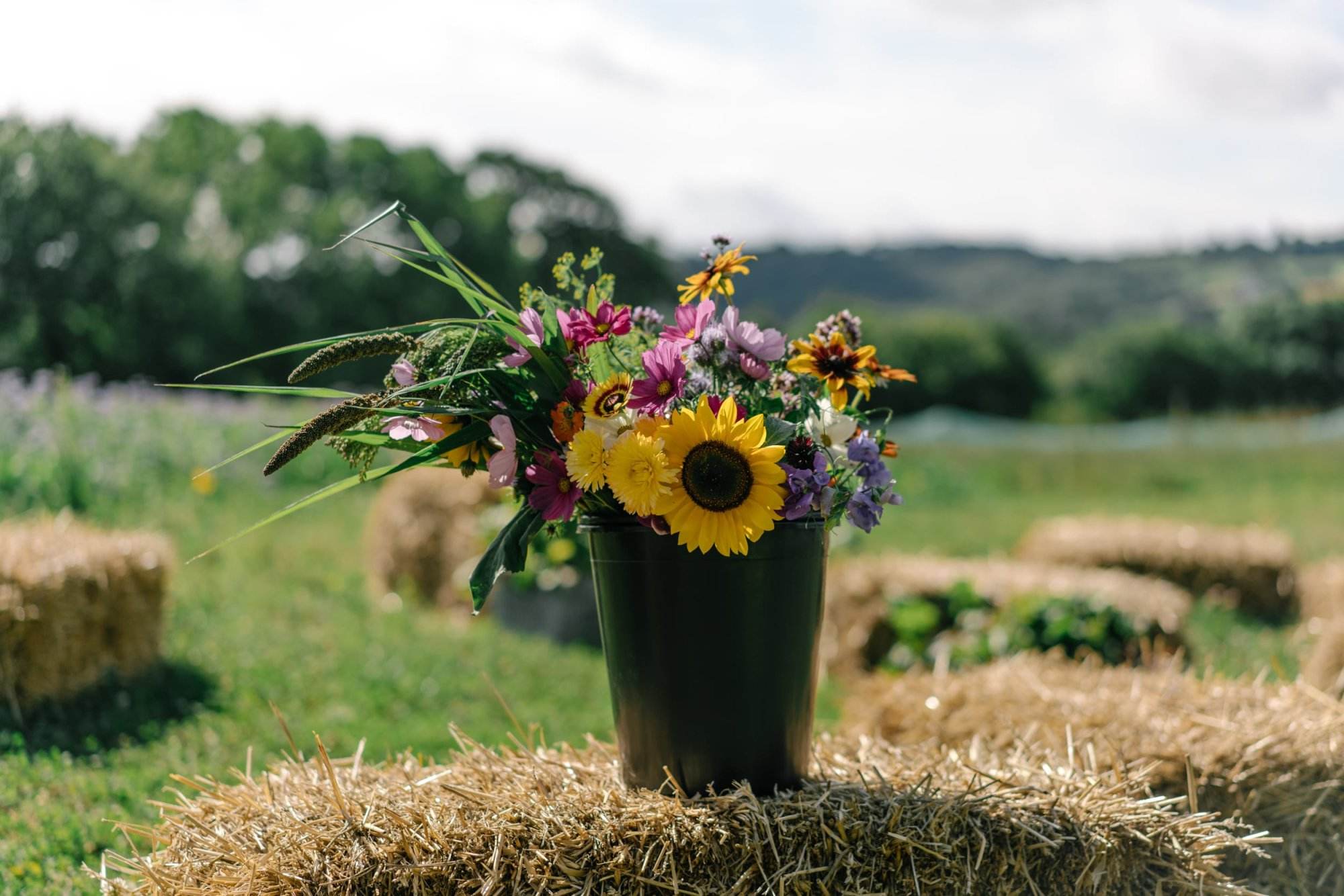 Bucket of flowers grown on our organic farm