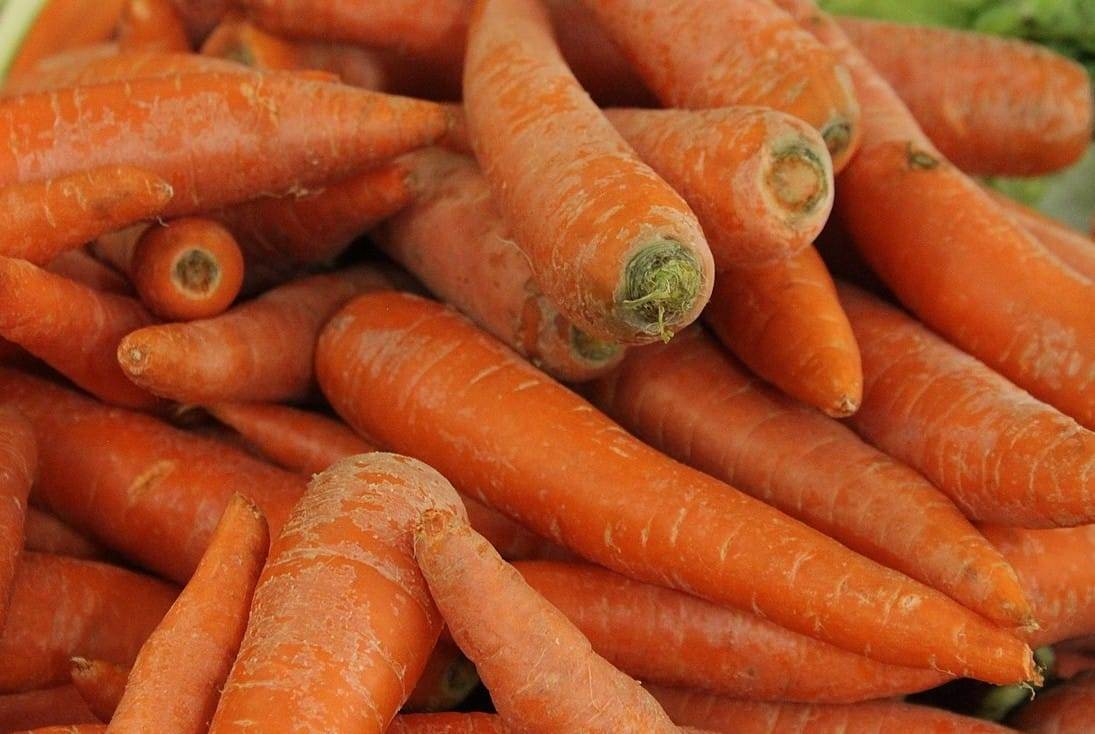 Warm barley and roasted carrot salad with parsley and dill