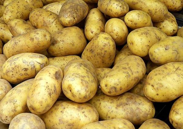 Punjabi potato curry