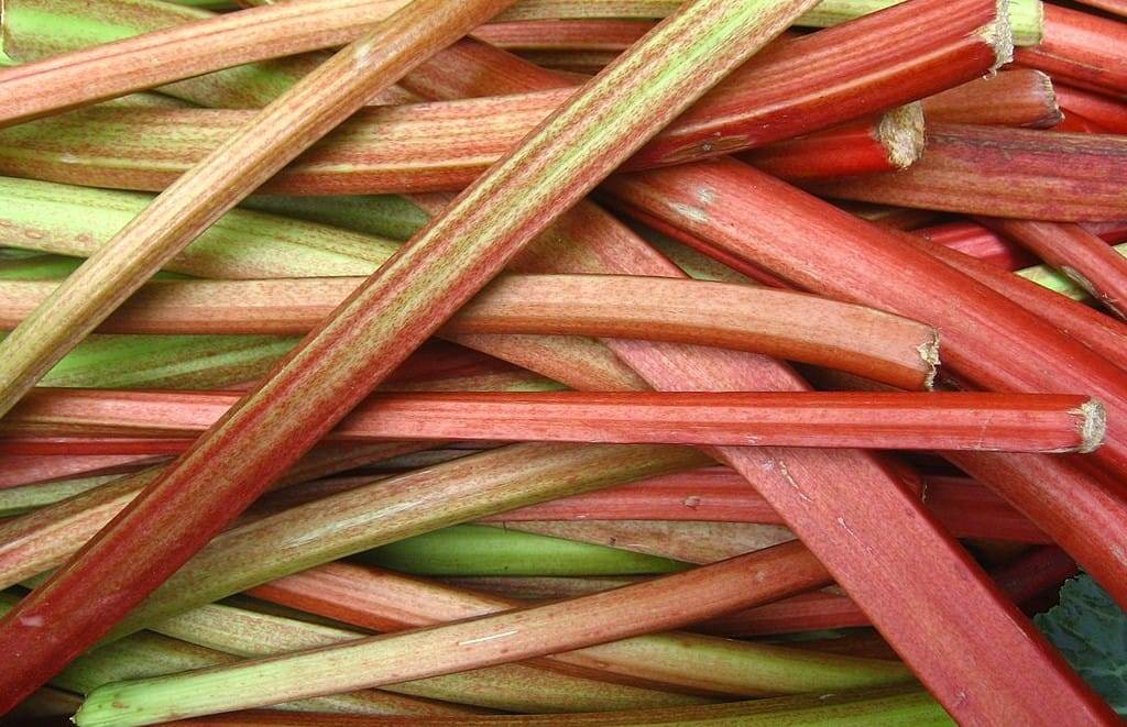 French toast with rhubarb